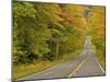 Roadway Through White Mountain National Forest, New Hampshire, USA-Adam Jones-Mounted Photographic Print