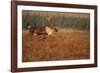 Roam Free-Staffan Widstrand-Framed Giclee Print