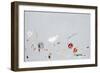 Roam-Joshua Schicker-Framed Giclee Print