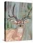 Roaming Buck I-Annie Warren-Stretched Canvas