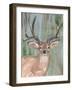 Roaming Buck I-Annie Warren-Framed Art Print