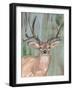 Roaming Buck I-Annie Warren-Framed Art Print
