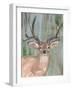 Roaming Buck I-Annie Warren-Framed Art Print