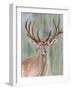 Roaming Buck II-Annie Warren-Framed Art Print