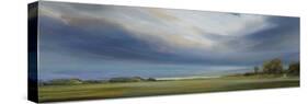 Roaming Clouds-Mark Chandon-Stretched Canvas
