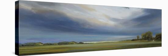 Roaming Clouds-Mark Chandon-Stretched Canvas