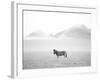 Roaming Free-Lee Frost-Framed Giclee Print