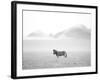 Roaming Free-Lee Frost-Framed Giclee Print