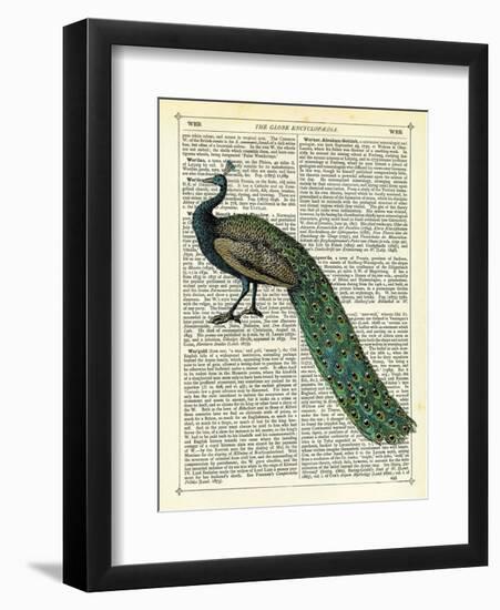 Roaming Peacock-Marion Mcconaghie-Framed Art Print
