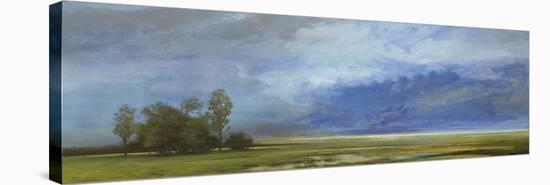 Roaming Skies-Mark Chandon-Stretched Canvas