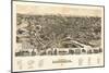 Roanoke, Virginia - Panoramic Map-Lantern Press-Mounted Premium Giclee Print