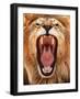 Roar; 2018-Eric Meyer-Framed Photographic Print