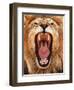 Roar; 2018-Eric Meyer-Framed Photographic Print