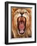 Roar; 2018-Eric Meyer-Framed Photographic Print