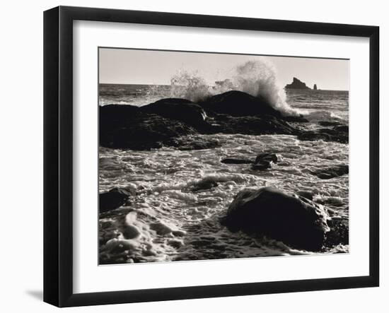 Roar of the Ocean-Brett Aniballi-Framed Art Print