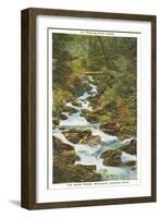 Roaring Fork Creek, Great Smoky Mountains-null-Framed Art Print