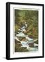 Roaring Fork Creek, Great Smoky Mountains-null-Framed Art Print