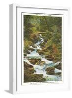 Roaring Fork Creek, Great Smoky Mountains-null-Framed Art Print
