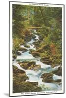 Roaring Fork Creek, Great Smoky Mountains-null-Mounted Art Print