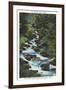 Roaring Fork Creek, The Great Smoky Mountains National Park-null-Framed Art Print