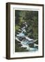 Roaring Fork Creek, The Great Smoky Mountains National Park-null-Framed Art Print