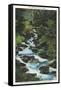 Roaring Fork Creek, The Great Smoky Mountains National Park-null-Framed Stretched Canvas