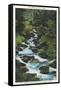 Roaring Fork Creek-null-Framed Stretched Canvas