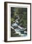 Roaring Fork Creek-null-Framed Art Print