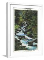 Roaring Fork Creek-null-Framed Art Print