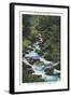 Roaring Fork Creek-null-Framed Art Print