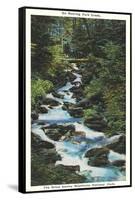 Roaring Fork Creek-null-Framed Stretched Canvas