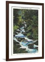 Roaring Fork Creek-null-Framed Art Print