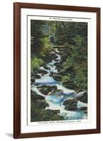 Roaring Fork Creek-null-Framed Art Print