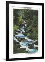 Roaring Fork Creek-null-Framed Art Print