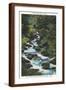 Brown Frame