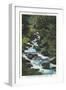 White Frame