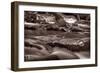 Roaring Fork Great Smokey Mountains BW-Steve Gadomski-Framed Photographic Print