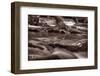 Roaring Fork Great Smokey Mountains BW-Steve Gadomski-Framed Photographic Print