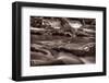 Roaring Fork Great Smokey Mountains BW-Steve Gadomski-Framed Photographic Print