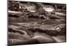 Roaring Fork Great Smokey Mountains BW-Steve Gadomski-Mounted Photographic Print