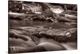 Roaring Fork Great Smokey Mountains BW-Steve Gadomski-Stretched Canvas