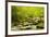 Roaring Fork in spring, Roaring Fork Motor Nature Trail, Great Smoky Mountains National Park, Tenne-Adam Jones-Framed Photographic Print