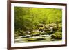 Roaring Fork in spring, Roaring Fork Motor Nature Trail, Great Smoky Mountains National Park, Tenne-Adam Jones-Framed Photographic Print