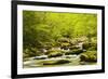 Roaring Fork in spring, Roaring Fork Motor Nature Trail, Great Smoky Mountains National Park, Tenne-Adam Jones-Framed Photographic Print