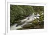 Roaring Fork river, Great Smoky Mountains National Park, Tennessee-Adam Jones-Framed Premium Photographic Print