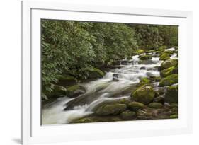 Roaring Fork river, Great Smoky Mountains National Park, Tennessee-Adam Jones-Framed Premium Photographic Print