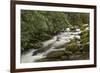 Roaring Fork river, Great Smoky Mountains National Park, Tennessee-Adam Jones-Framed Premium Photographic Print