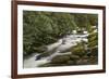 Roaring Fork river, Great Smoky Mountains National Park, Tennessee-Adam Jones-Framed Premium Photographic Print