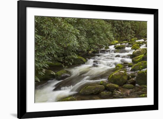 Roaring Fork river, Great Smoky Mountains National Park, Tennessee-Adam Jones-Framed Premium Photographic Print