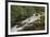 Roaring Fork river, Great Smoky Mountains National Park, Tennessee-Adam Jones-Framed Premium Photographic Print